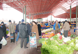 Belediyeler görevini yapmıyor!