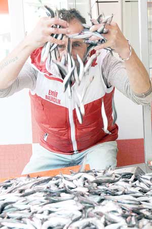Karadeniz'de hamsi yüz güldürdü