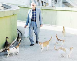 CAMİYE DE YANINDAN AYRILMAYAN KEDİLERLE GİDİYOR