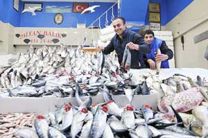 Palamut, balıkçılara yeni yıl sürprizi yaptı