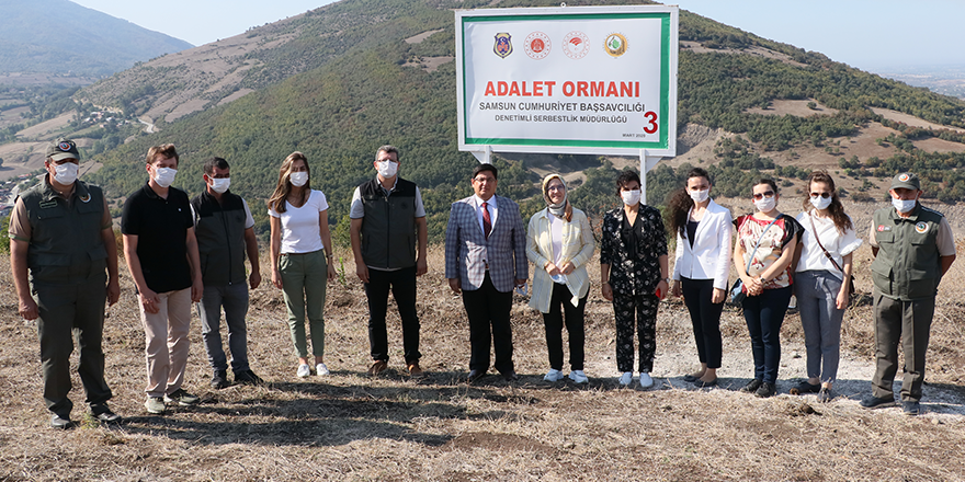 465 BİN METREKARELİK ALANA FİDAN DİKTİLER