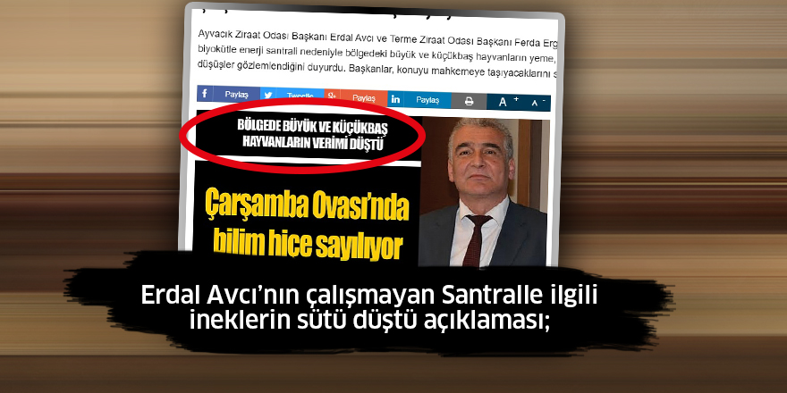 TAM BİR KOMEDİ