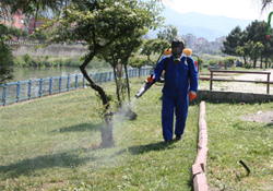 Sokak ilaçlama Büyükşehirde