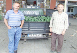 Halde fiyatlar düşüyor