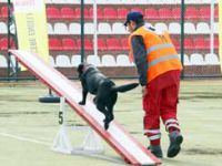 Enkaz altından can kurtaracak köpekler için sınav yapıldı