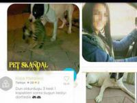 Köpekli dehşete 12 bin TL para cezası