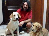 Hastaneye bıraktığı köpeği kayboldu