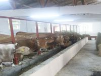 MÜRACAATLAR BAŞLADI