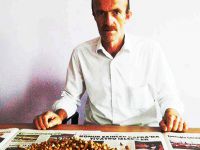 ORGANİK FINDIK YAYGINLAŞIYOR
