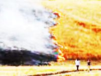 Anız Yakmayın !
