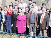 ÖĞRENCİLERDEN KİVİ HASADI