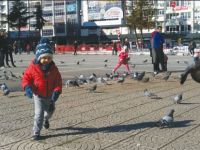 SAMSUN'DA GÜNEŞ KENDİNİ GÖSTERDİ