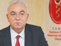 HAYVAN KİMLİKLENDİRME RAPORU