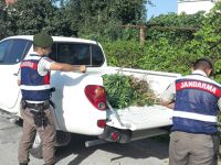 Samsun'da uyuşturucu operasyonu