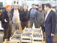 Balıkçılıkta dev proje