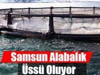 Samsun Alabalık Üssü Oluyor