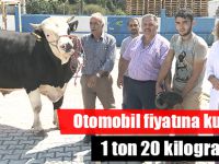 İkinci el otomobil fiyatına kurbanlık