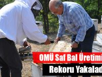 OMÜ Saf Bal Üretiminde Rekoru Yakaladı