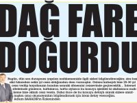 DAĞ FARE DOĞURDU