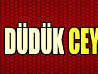 Düdük Ceylanda