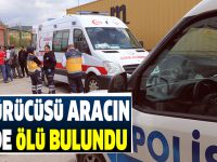 Tır sürücüsü aracın içinde ölü bulundu