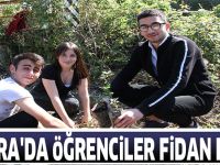 Bafra'da öğrenciler fidan dikti
