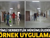 DENETİMLİ SERBESTLİK HÜKÜMLÜLERİNDEN ÖRNEK UYGULAMA