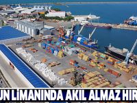 Samsun'da limandan 15 ton buğdayın çalındığı iddiası