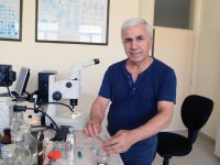 Kelkit Vadisi'nde yaşayanlara kene uyarısı