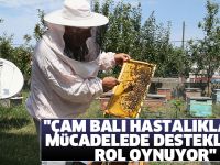 "Çam balı hastalıklarla mücadelede destekleyici rol oynuyor"