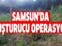 Samsun'da uyuşturucu operasyonu