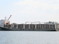 SAMSUN'DA KOKUNUN SEBEBİ