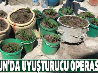 Samsun'da uyuşturucu operasyonu