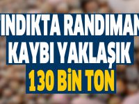 Fındıkta randıman kaybı yaklaşık 130 bin ton