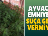 AYVACIK EMNİYETİ SUÇA GEÇİT VERMİYOR