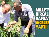 Milletvekili Kırcalı, Bafra'da incelemeler yaptı