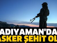 Adıyaman'da 4 asker şehit oldu