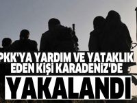 PKK'ya yardım ve yataklık eden kişi karadeniz'de yakalandı