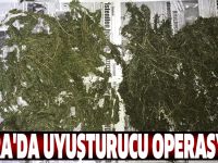 Bafra'da uyuşturucu operasyonu