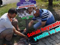 Sokak hayvanlarına yemlik ve suluk