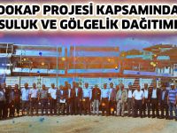 DOKAP PROJESİ KAPSAMINDA SULUK VE GÖLGELİK DAĞITIMI