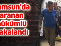 Samsun'da aranan hükümlü yakalandı