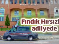 Fındık Hırsızları adliyede