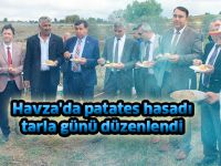 Havza'da patates hasadı tarla günü düzenlendi