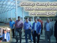 Köktaş: Sanayi sektörü ülke ekonomisinin bel kemiğidir