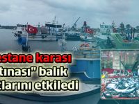 "Kestane karası fırtınası" balık fiyatlarını etkiledi