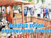 SAHİPSİZ SOKAK HAYVANLARINA ZİYARET