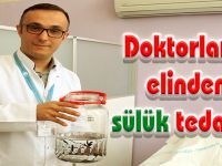 Doktorların elinden sülük tedavisi
