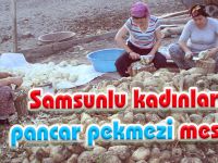 Samsunlu kadınlar pancar pekmezi mesaisine başladı