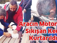 Aracın Motor Kısmına Sıkışan Kedi Kurtarıldı